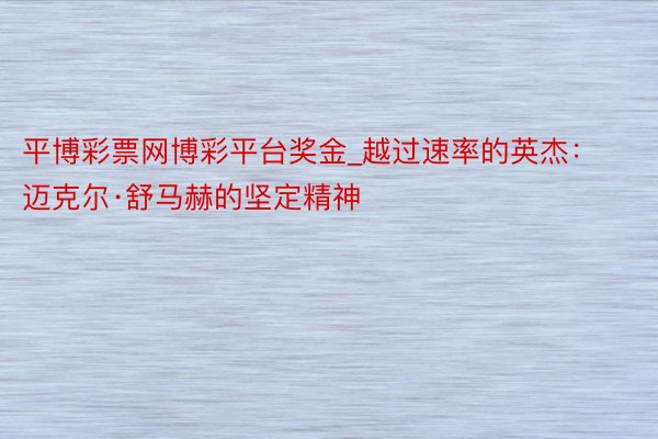 平博彩票网博彩平台奖金_越过速率的英杰：迈克尔·舒马赫的坚定精神