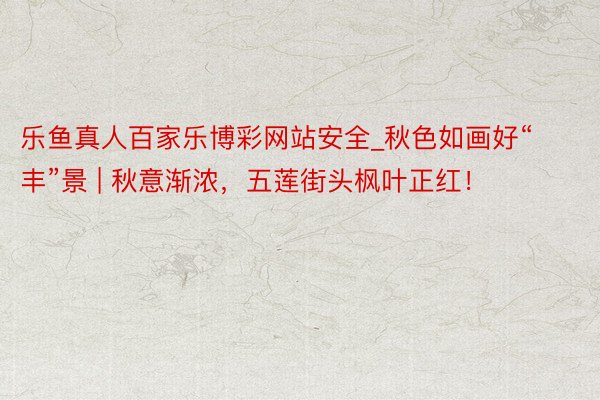 乐鱼真人百家乐博彩网站安全_秋色如画好“丰”景 | 秋意渐浓，五莲街头枫叶正红！