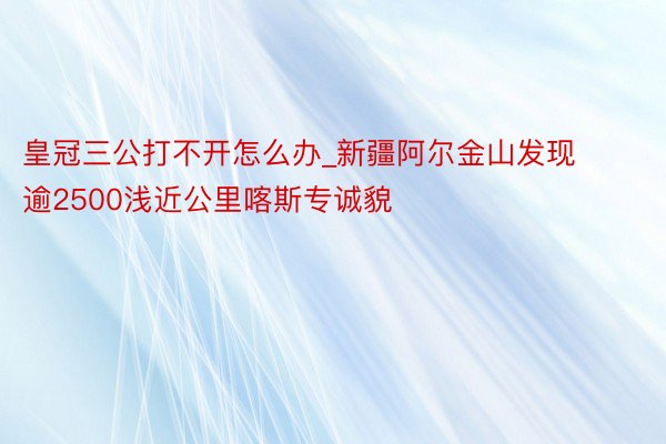皇冠三公打不开怎么办_新疆阿尔金山发现逾2500浅近公里喀斯专诚貌